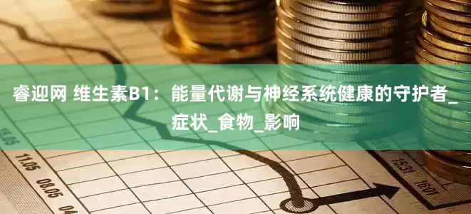 睿迎网 维生素B1：能量代谢与神经系统健康的守护者_症状_食物_影响